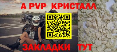 прущие грибы Нальчик