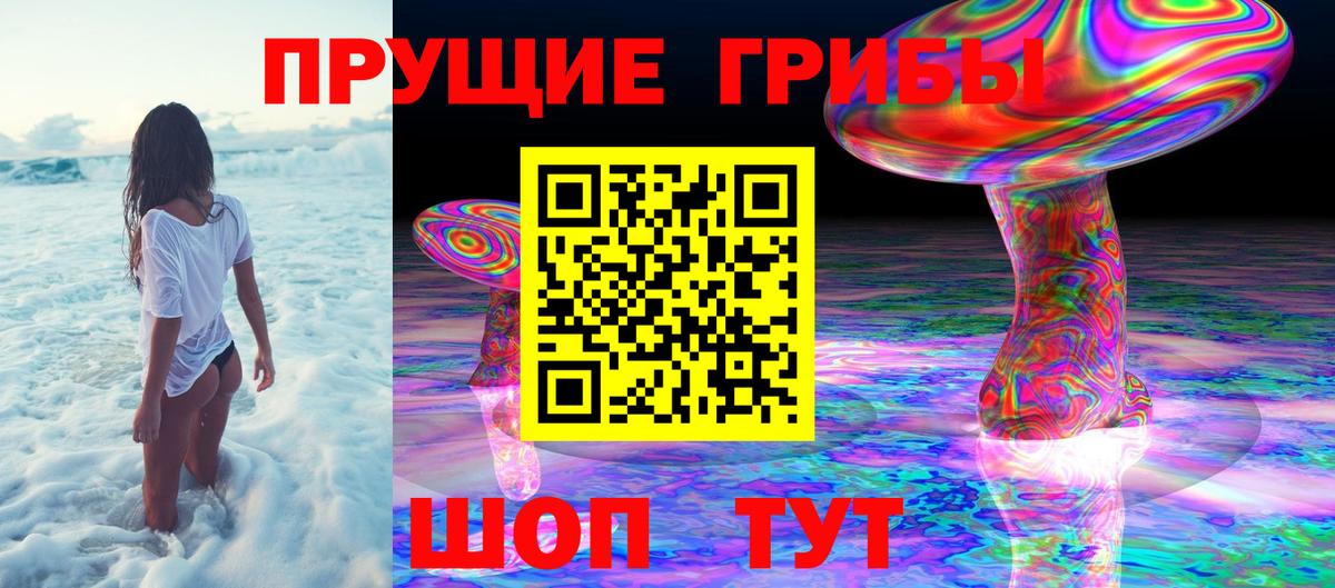 Шарыпово  Псилоцибиновые грибы Magic Shrooms  Псилоцибиновые грибы MAGIC MUSHROOMS  Вход с VPN 
