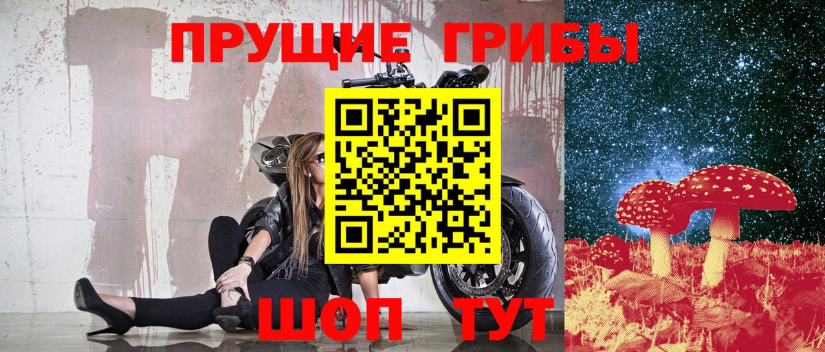 Псилоцибиновые грибы прущие грибы Шарыпово